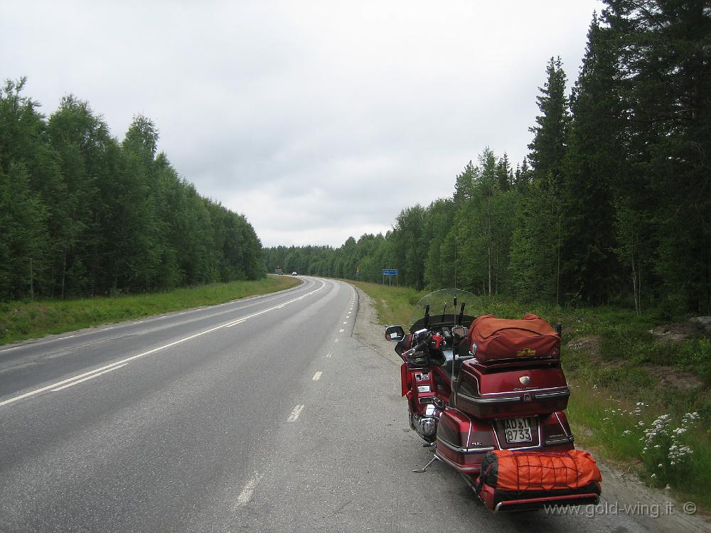 IMG_0215.JPG - La strada del ritorno attraverso la Svezia interna: 1.000 km di foresta