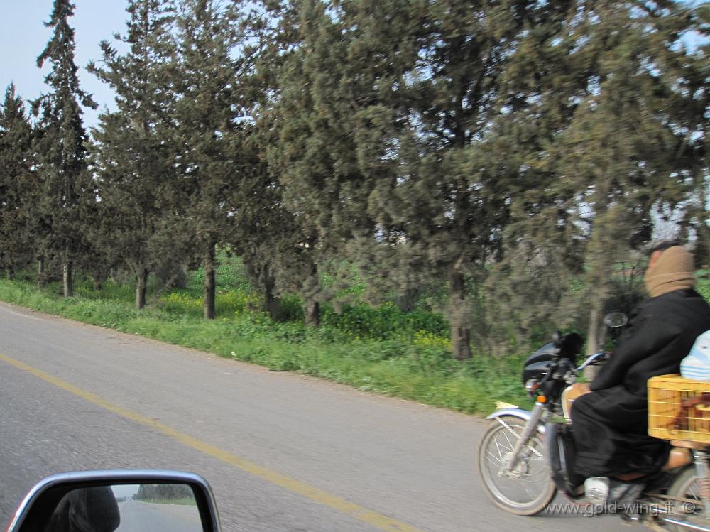 IMG_0333.JPG - Autostrada verso Hama (Siria): moto locale