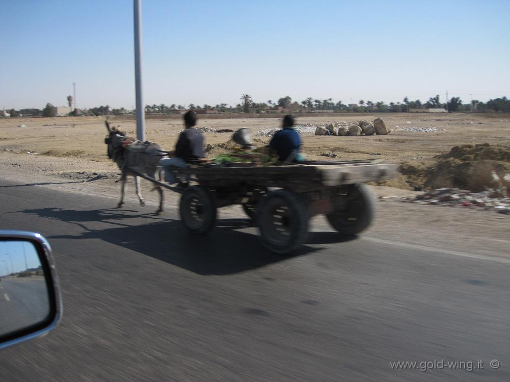 IMG_0799.JPG - Carretto sull'autostrada a nord di Suez