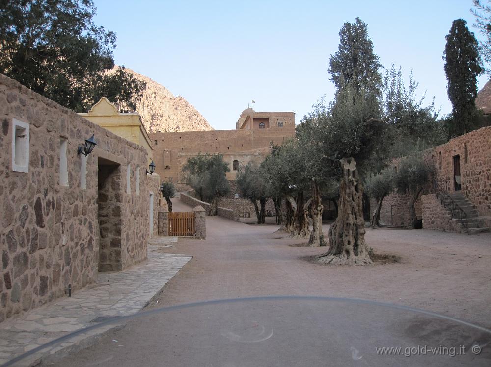 IMG_0870.JPG - Sinai: monastero di Santa Caterina (m 1600)