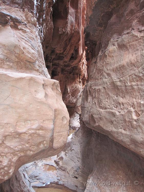 IMG_1153.JPG - Wadi Rum: canyon di Khazali