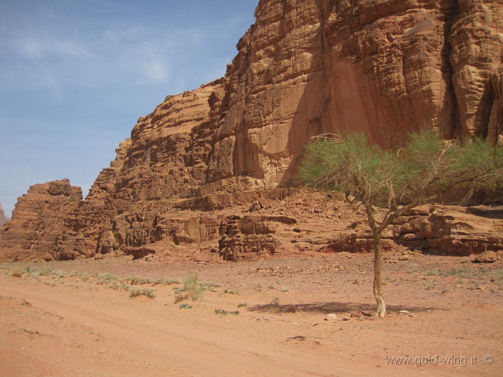 IMG_1216.JPG - Wadi Rum