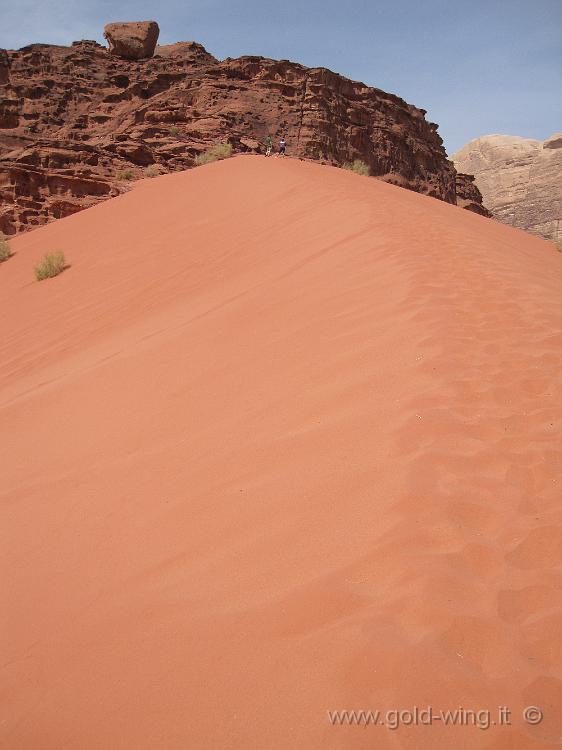 IMG_1240.JPG - Wadi Rum:le dune di sabbia di Al-Hasany