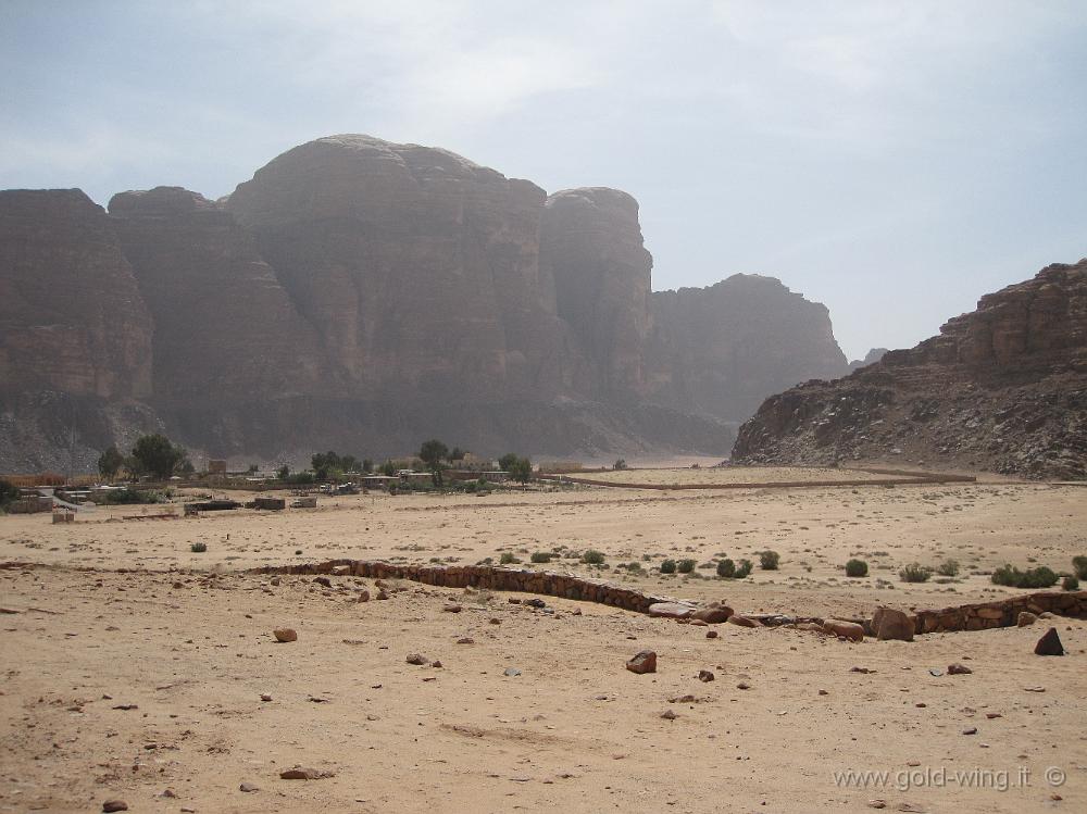 IMG_1275.JPG - Wadi Rum: villaggio di Rum