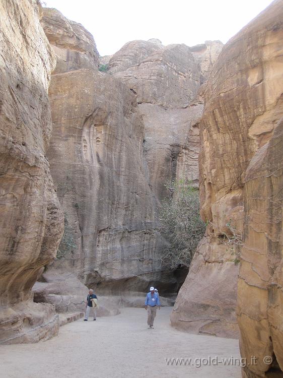 IMG_1354.JPG - Petra: il Siq