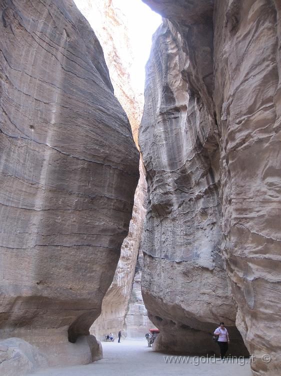 IMG_1359.JPG - Petra: il Siq