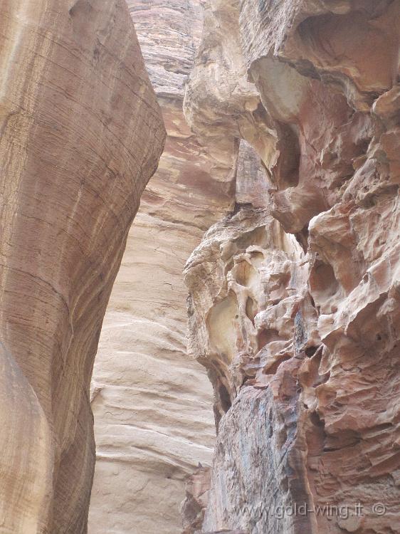 IMG_1366.JPG - Petra: il Siq