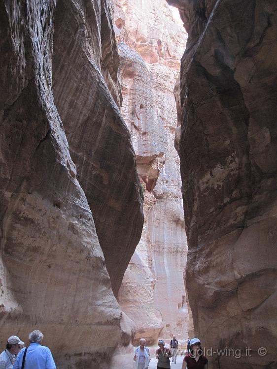 IMG_1371.JPG - Petra: il Siq