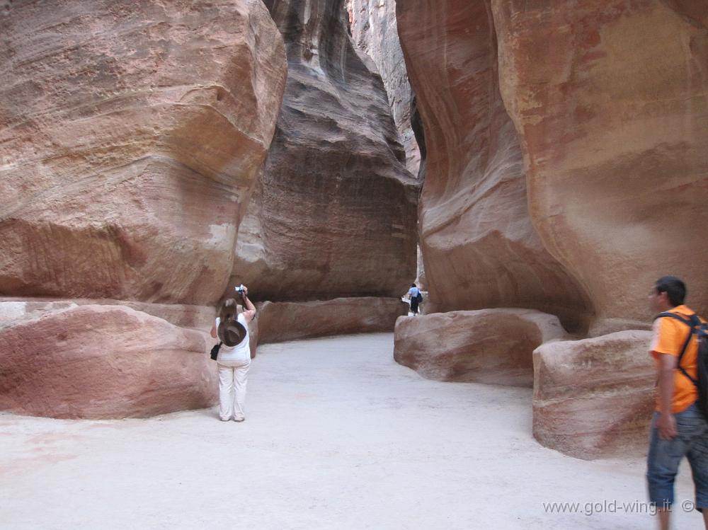 IMG_1469.JPG - Petra: il Siq, con gli antichi canali dell'acqua