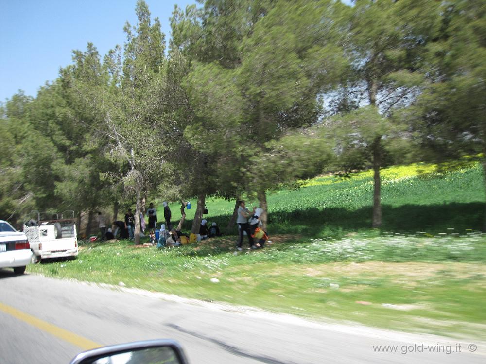 IMG_1553.JPG - Presso Madaba: picnic nella giornata festiva (venerdì)