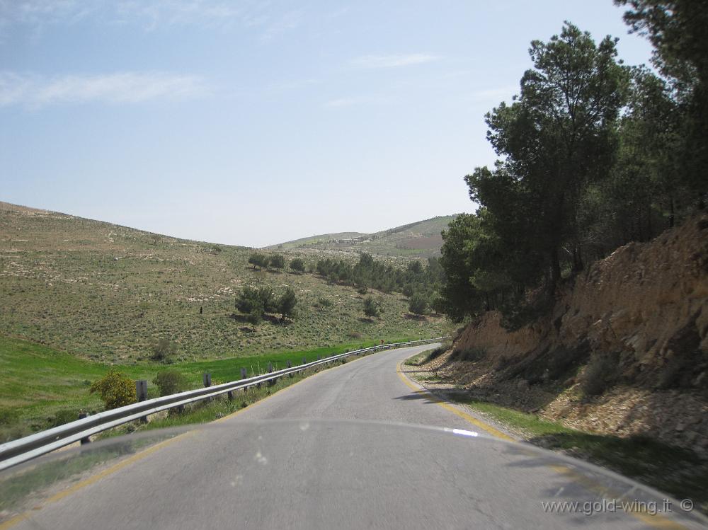 IMG_1559.JPG - La strada che in 40 km scende da Madaba (m 800) al Mar Morto (m -400)