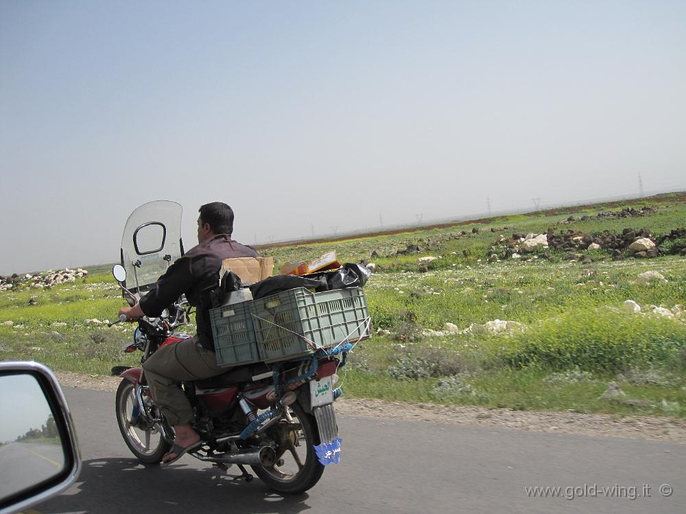 IMG_1969.JPG - Siria, sull'autostrada per Damasco: moto locale