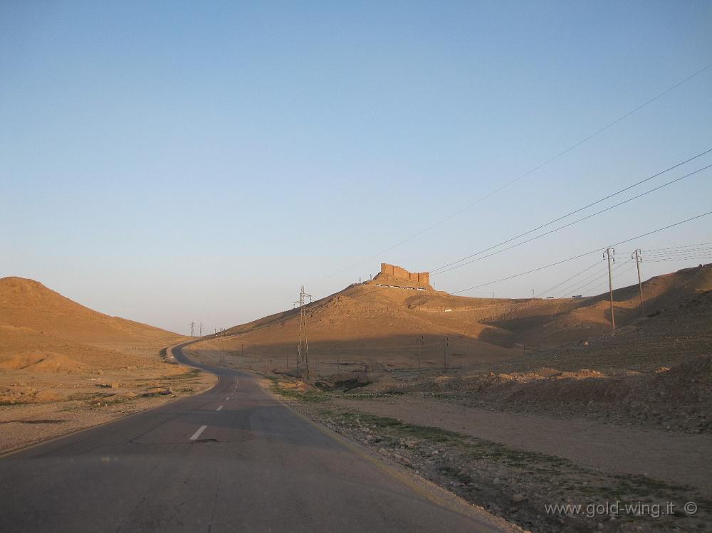 IMG_2262.JPG - Siria, arrivo a Palmyra: il castello Qala'at ibn Maan