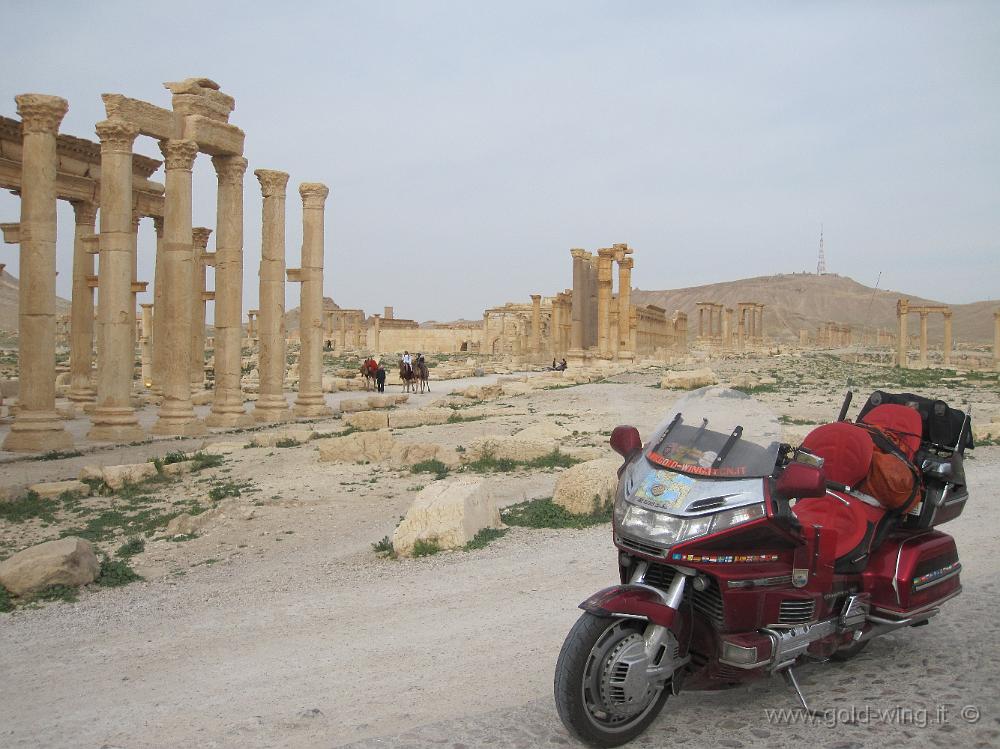 IMG_2300.JPG - Siria, Palmyra