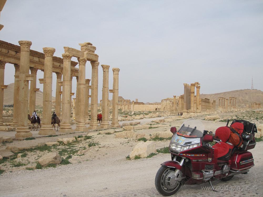 IMG_2301.JPG - Siria, Palmyra