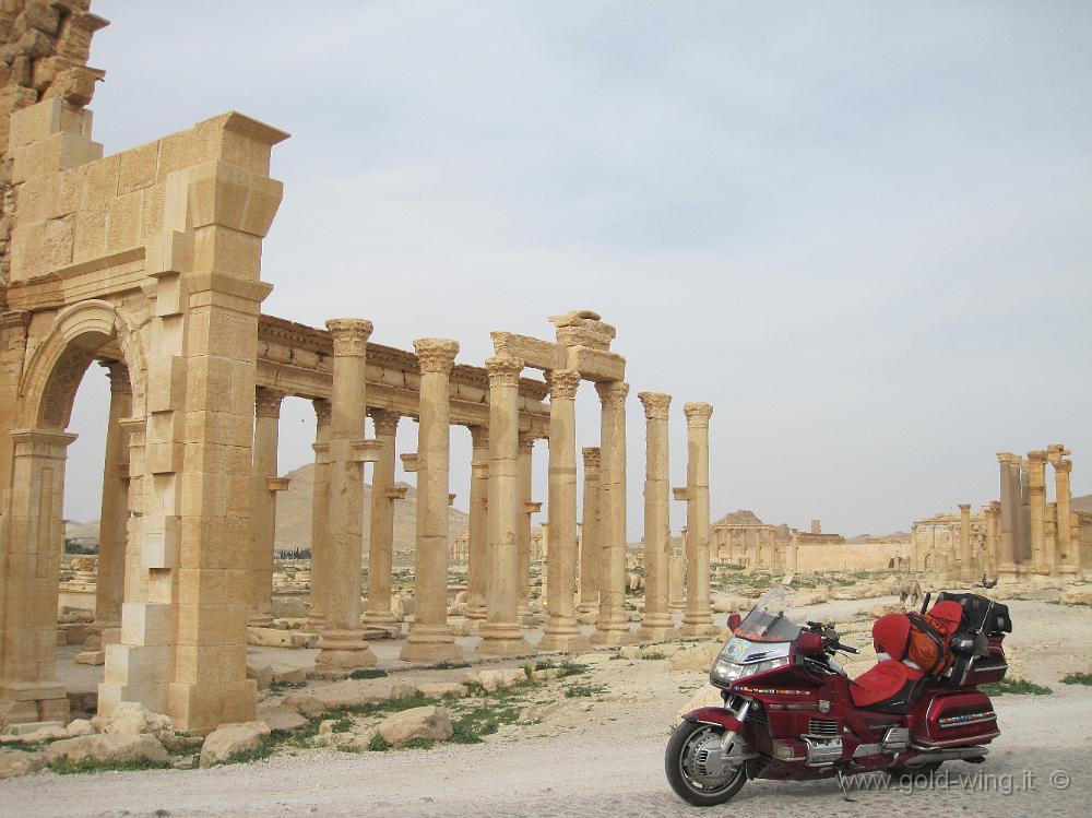 IMG_2303.JPG - Siria, Palmyra