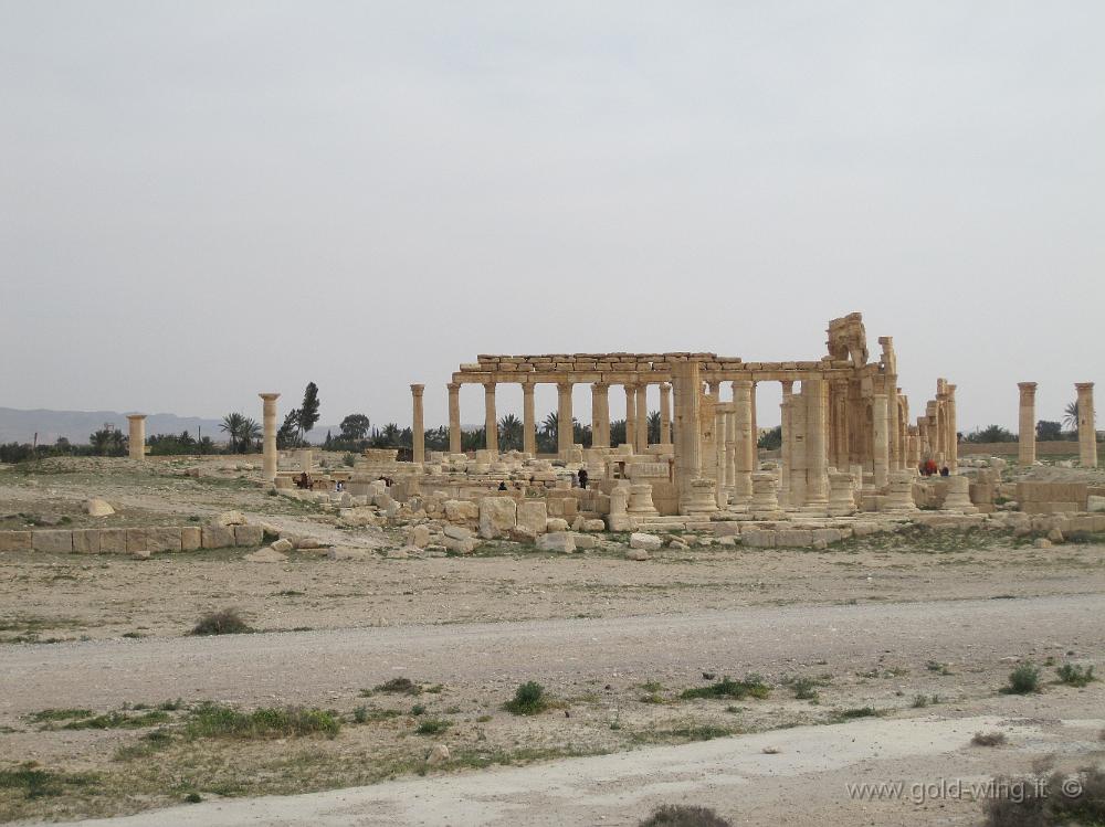 IMG_2305.JPG - Siria, Palmyra