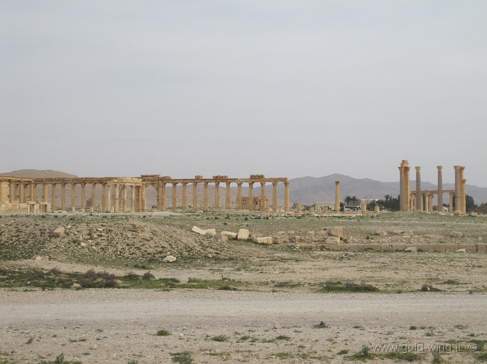 IMG_2306.JPG - Siria, Palmyra