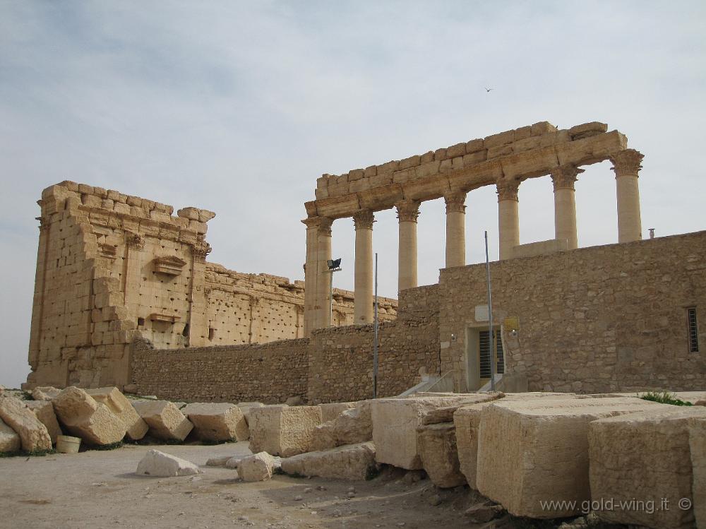 IMG_2315.JPG - Palmyra: Tempio di Bel