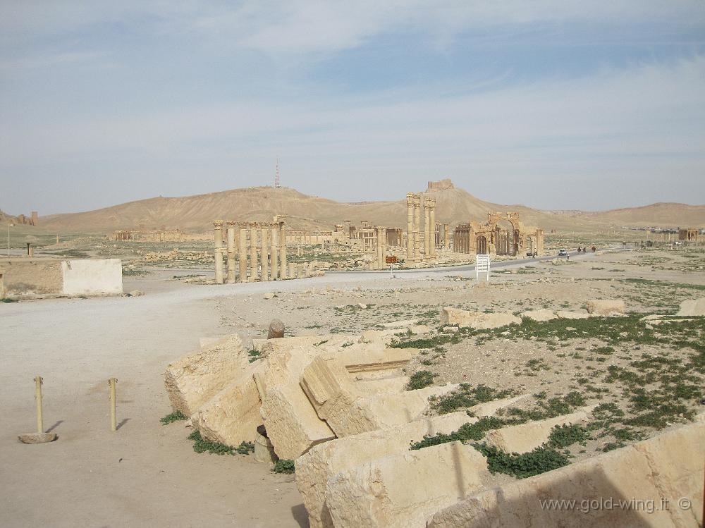 IMG_2316.JPG - Palmyra vista dal Tempio di Bel