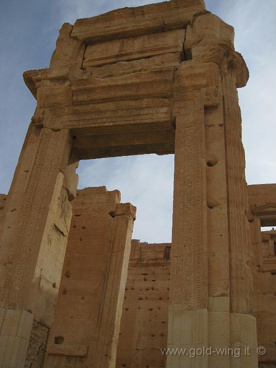 IMG_2321.JPG - Palmyra: la cella del Tempio di Bel