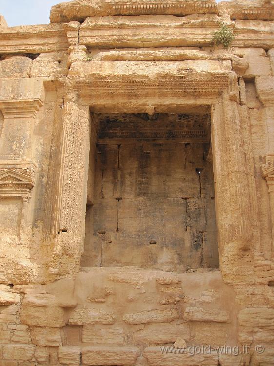 IMG_2324.JPG - Palmyra: interno della cella del Tempio di Bel