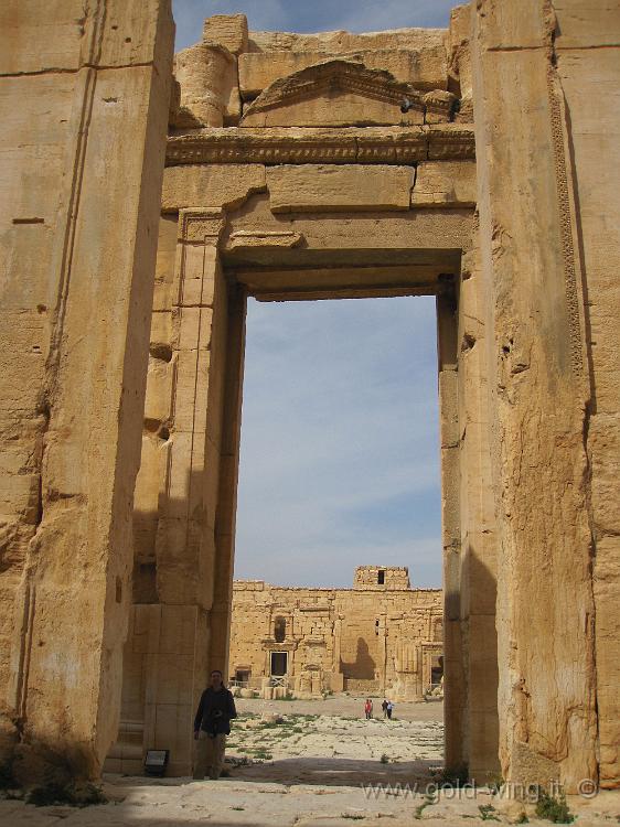 IMG_2331.JPG - Palmyra: interno della cella del Tempio di Bel