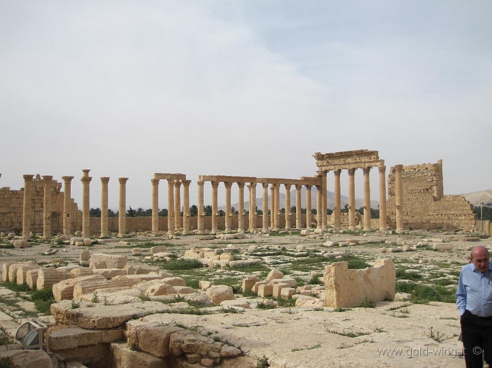 IMG_2334.JPG - Palmyra: Tempio di Bel