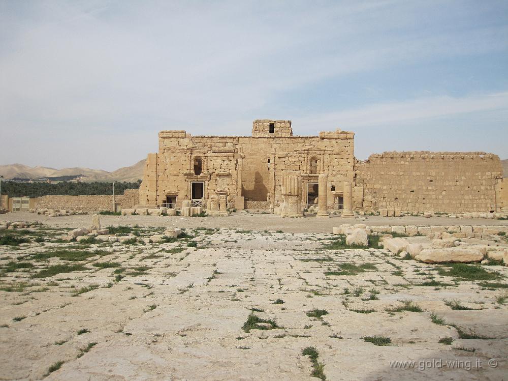 IMG_2335.JPG - Palmyra: Tempio di Bel