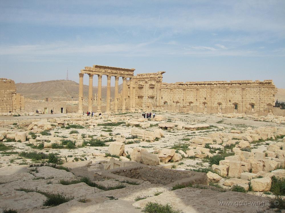 IMG_2336.JPG - Palmyra: Tempio di Bel