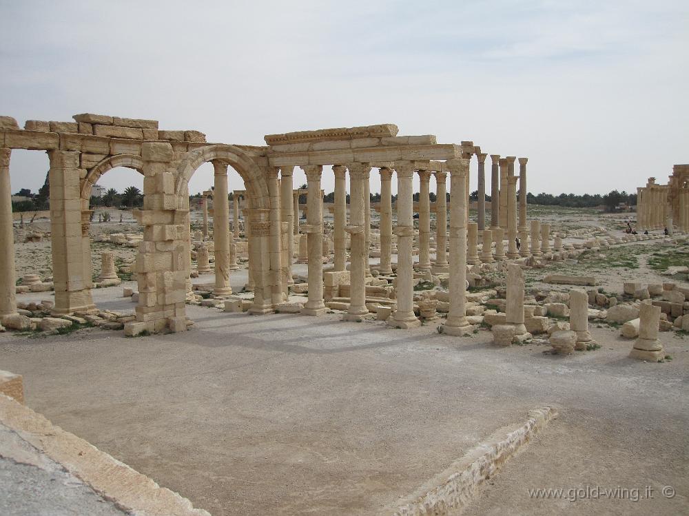 IMG_2355.JPG - Palmyra: dal teatro