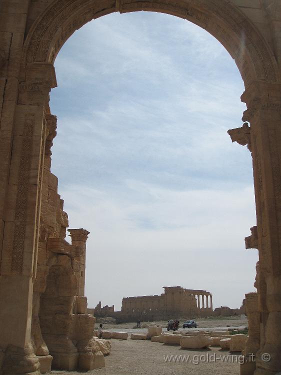 IMG_2375.JPG - Palmyra: il Tempio di Bel (e la moto) visti dalla via colonnata