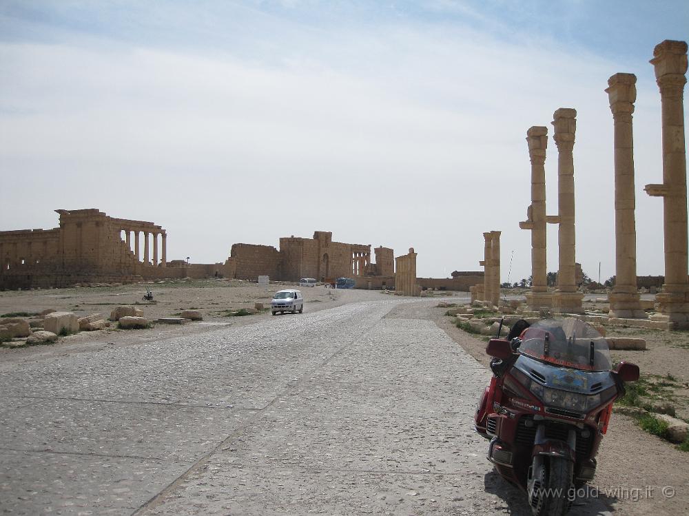 IMG_2376.JPG - Palmyra: il Tempio di Bel (e la moto) da presso l'arco trionfale