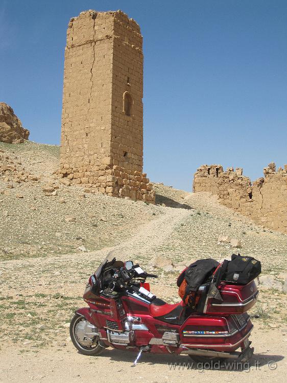 IMG_2392.JPG - Palmyra: la Valle delle Tombe