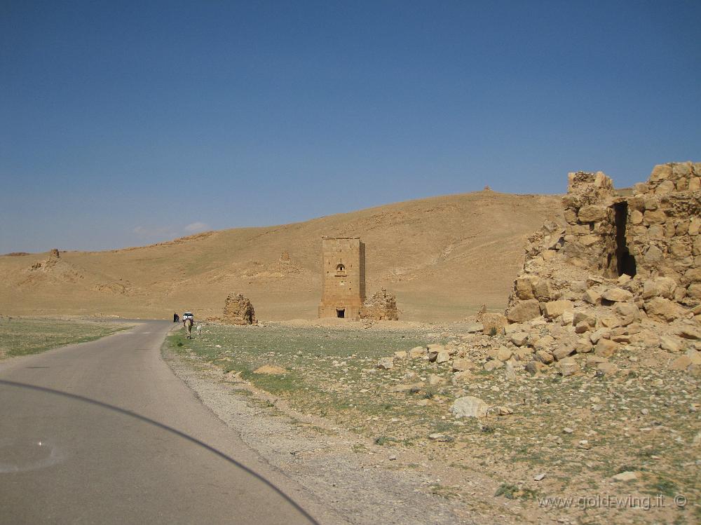 IMG_2399.JPG - Palmyra: la Valle delle Tombe