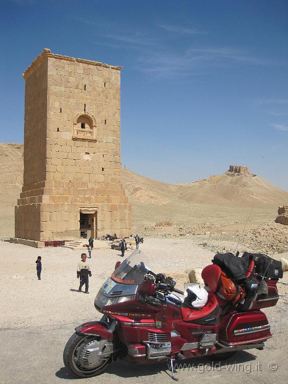 IMG_2402.JPG - Palmyra, Valle delle Tombe: Torre di Elahbel