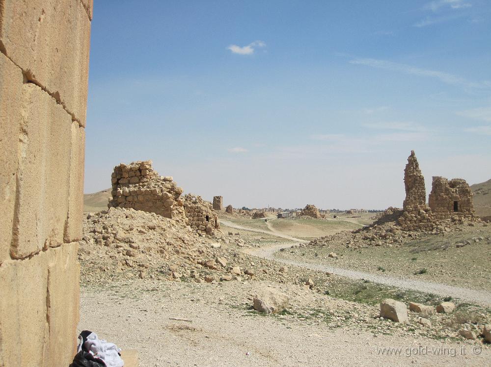 IMG_2410.JPG - Palmyra: Valle delle Tombe