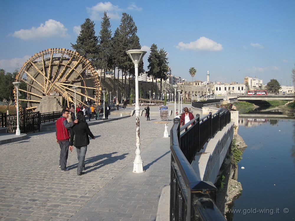 IMG_2454.JPG - Siria, Hama: una noria (ruota idraulica di legno)