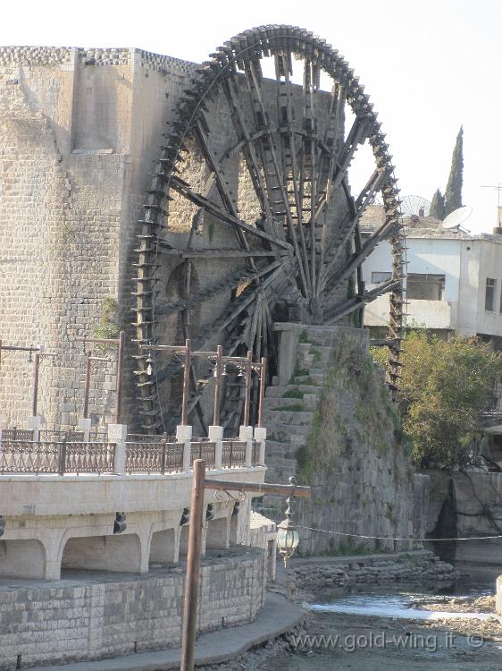 IMG_2458.JPG - Siria, Hama: una noria (ruota idraulica di legno)