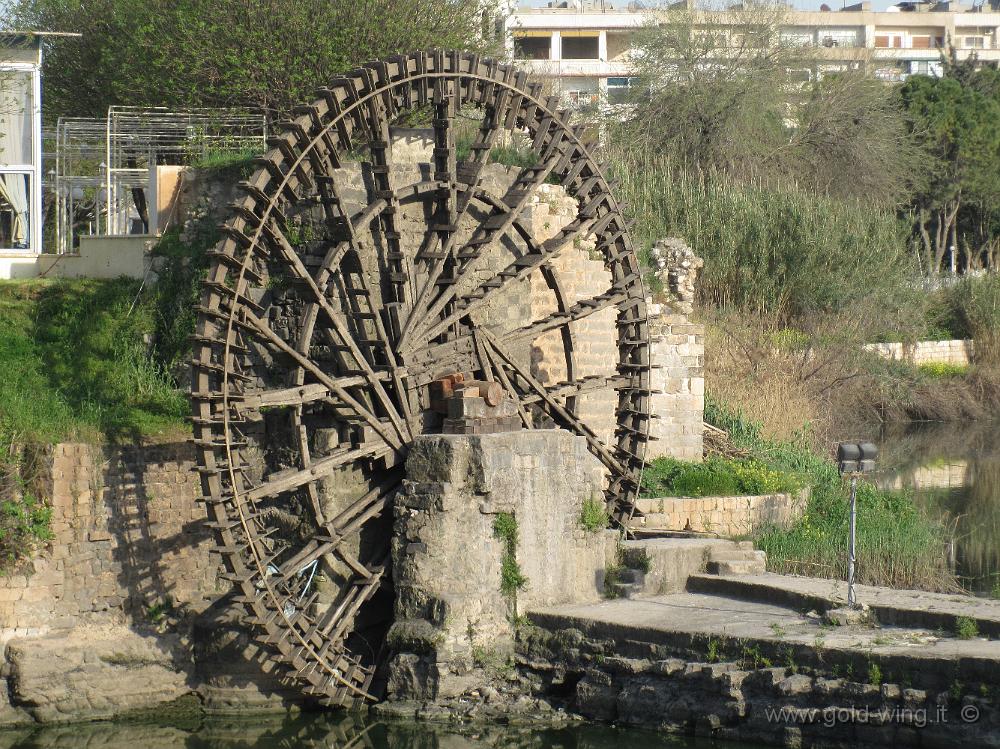 IMG_2473.JPG - Siria, Hama: una noria (ruota idraulica di legno)