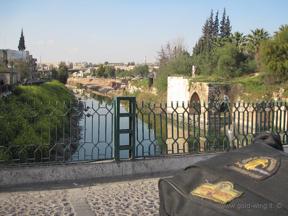 IMG_2475.JPG - Siria, Hama: il fiume Oronte