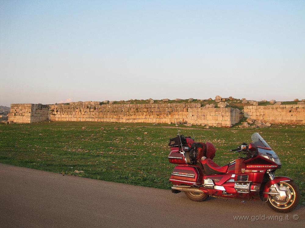 IMG_2494.JPG - Siria: Apamea