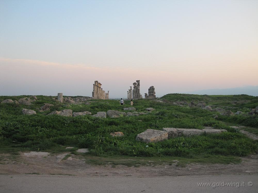 IMG_2497.JPG - Siria: Apamea