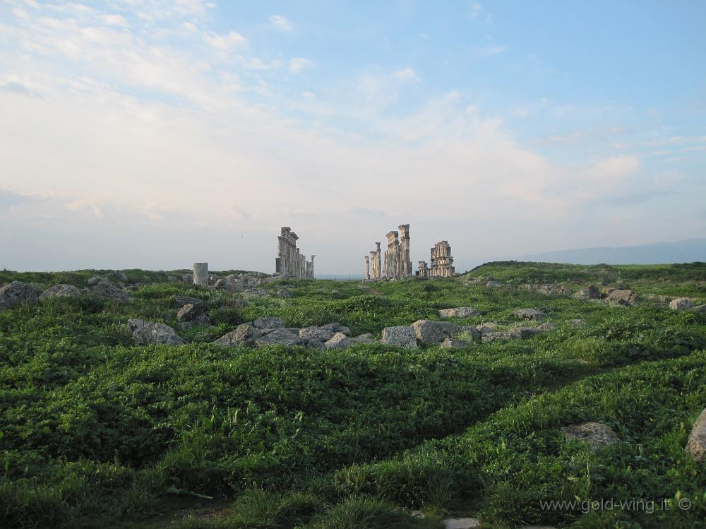 IMG_2517.JPG - Siria, Apamea: la parte sud delle rovine (quelle meno conservate)