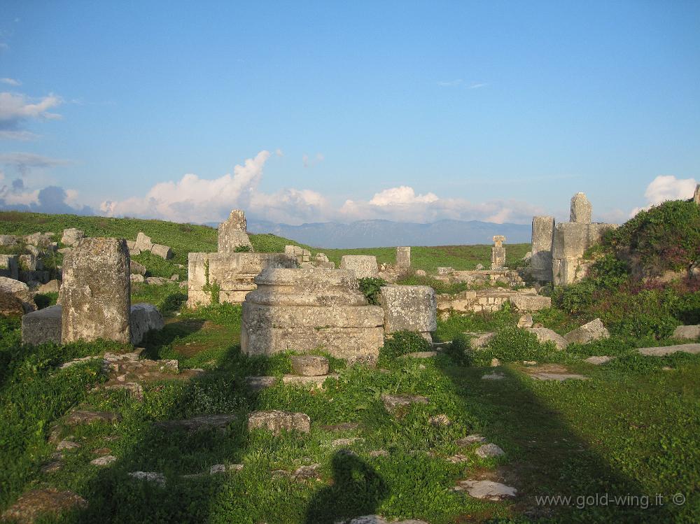 IMG_2527.JPG - Apamea