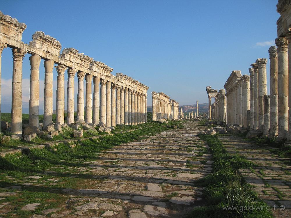 IMG_2540.JPG - Apamea: 2 km di via colonnata