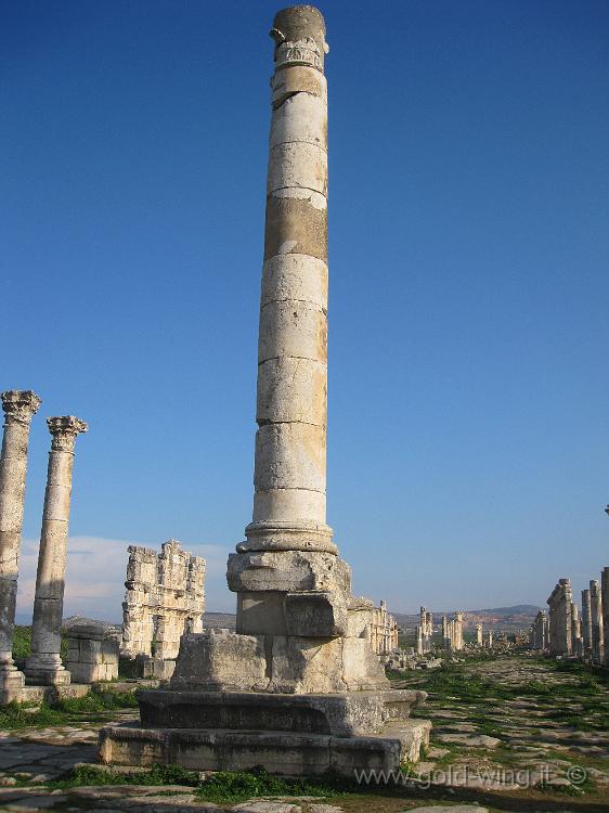 IMG_2541.JPG - Apamea: colonna votiva