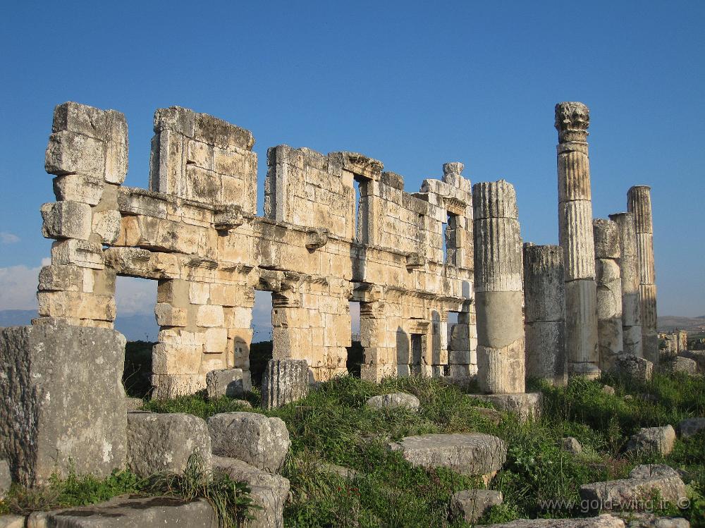 IMG_2545.JPG - Apamea: le facciate degli antichi negozi, dietro il colonnato della via principale