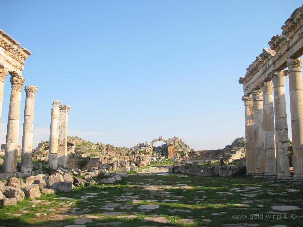 IMG_2547.JPG - Apamea: la porta di Antiochia (nord)