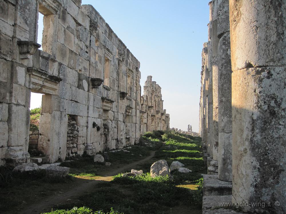 IMG_2553.JPG - Apamea: le facciate degli antichi negozi, dietro il colonnato della via principale